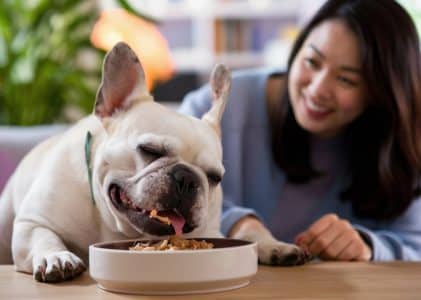 Disadvantages of cold pressed dog food