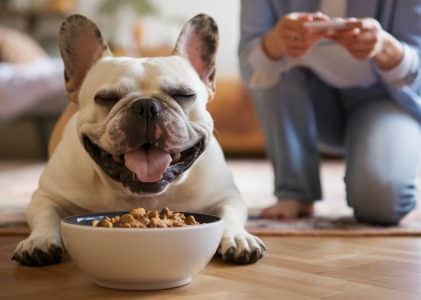 Grain free cold pressed dog food