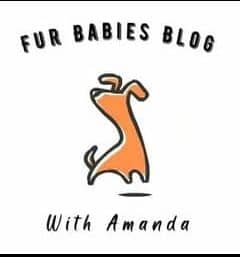 Furbabies Logo