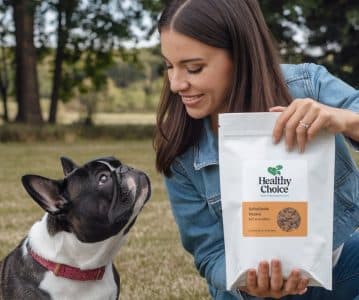 Best dog food to prevent allergies