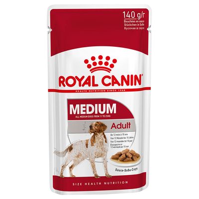 Best  wet dog food