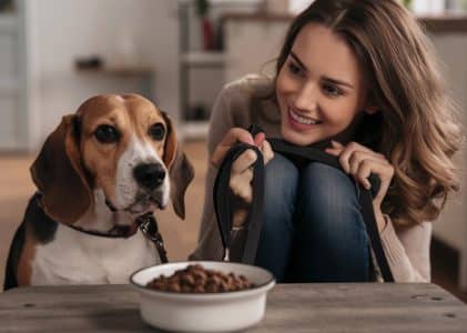 Best dog food for Beagles