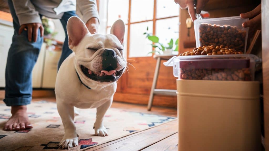 how to store cold pressed dog food uk