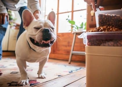 How to store cold pressed dog food
