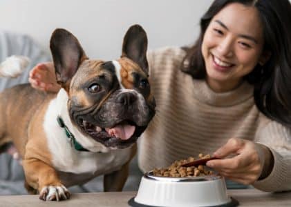 Is cold pressed dog food raw