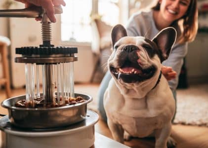 Benefits of cold pressed dog food