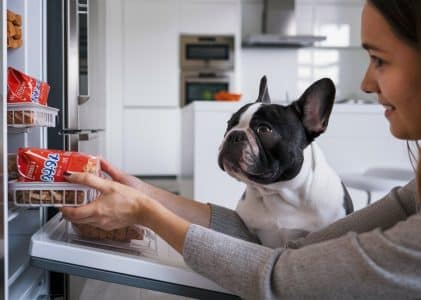 Is cold pressed dog food the same as freeze-dried dog food?