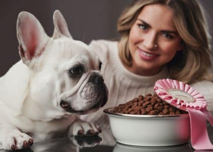 The best dog food for skin allergies